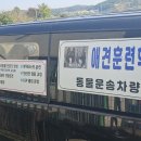 메이저 애견훈련학교 이미지