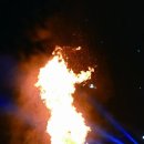 송학행정사사무소 이미지