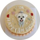 치치까까 | 생일축하파티+ 안산 본오동 세상에 하나뿐인 강아지생일케이크 기호성 좋은 강아지 수제간식 ::: 치치까까