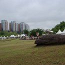 고인돌공원 이미지