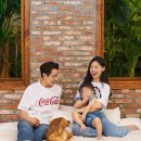 이다은 카카오 검색결과