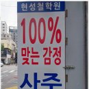 차여행사주