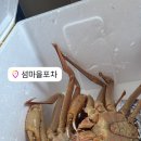 포에버포차 이미지