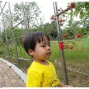 달미공원 이미지