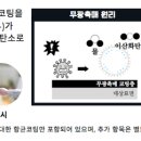 에어솔루션 이화학 연구소