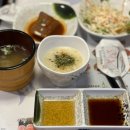 동대문참치 맛집 이강참치 이문본점 저녁 데이트 추천