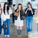 미야오 카카오 검색결과