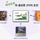 비지에이치(BGH)