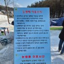 자연드림 용인동천점 인근 | 수원 인근, 가성비 넘치는 썰매장을 찾는다면 ! 용인 동천자연식물원 방문 후기