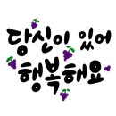 블랙벨트 월드 태권도 이미지