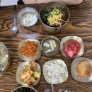 나비식당 | 2026 함평 나비대축제, 화랑식당 내돈내산 후기