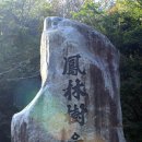 용계 이미지