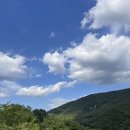 [부산/경남] 밀양애견펜션 &#39;스테이한가로이&#39; 나동 후기+자쿠지까지