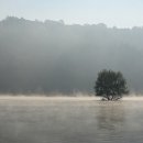 호수의아침 이미지