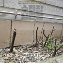 수원-0296 이미지