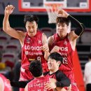 삼성인삼 이미지