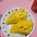 한농상사 이미지