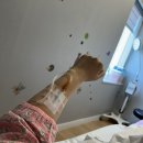 웰하이 산후조리원 이미지