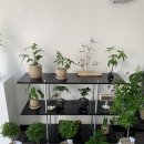 후평동 722-15 이미지