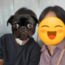 오오열쇠 | 스마일 라식 할 줄 알았는데 렌즈삽입술 추천받고 퍼스널 라섹해서 겁나 아팠던 후기(검안~7일차)+1달 반