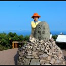 대붕초등학교 이미지