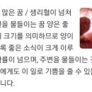 우와 나 오늘 생리 터져서 옷에 다 묻는 꿈 꿨는데 이미지