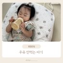 베지밀 | 우유 안먹는아기 먹이는방법 우유요리 베지밀 내돈내산 후기까지