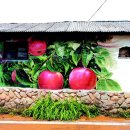 가마을길 이미지