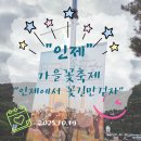 공연기획 푸른하늘 | [인제_인제가을꽃축제] 10월에 가볼만한곳 꽃길만걷자 인제가을꽃축제 / 내년에 꼭 다시 만나요~ 😍
