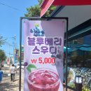 고도리김밥 이미지