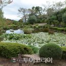 제주유유자적 이미지