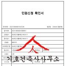 평촌동-2 티스토리