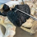 청송약수터 | 청송 달기약수터 맛집 대구식당, 능이백숙 맛집