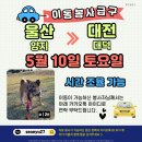 양지켄넬 Daum카페
