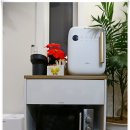 블레싱골프연습장 | 대부도 키즈 풀빌라 펜션(신축,독채,수영장) 더블레싱23