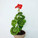 수니옷장 이미지