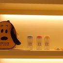 위드멍 애견유치원 이미지