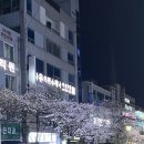 요거트월드전주평화점