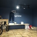 킹프림 애견샵 이미지