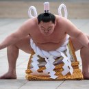 스모 이미지