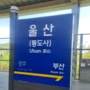 미라인의원 이미지