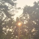 선흘별숲 네이버블로그