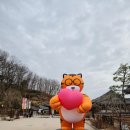 전주 한옥마을 독채 덕수궁 별관 | 전주 "오목대" &amp; 한옥마을 숙소 "덕수궁" *노을맛집 이랬는데;ㅂ; &amp; 고양이 있댔는데;ㅂ;! 전주여행 day 1
