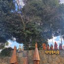 산양마을 | 제주숲길 난쟁이마을 제주도 스냅사진 포토존 산양큰엉곶 내돈내산 후기