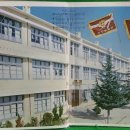 다인정보고 이미지