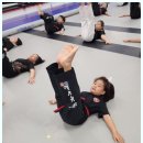 다부진 합기도 이미지