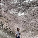 원챠우 네이버블로그