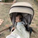 지성떡집
