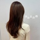 내수 상6호(비3호) | 동묘앞역 종로구 미용실 라피오리레에서 우진쌤에게 뿌염과 클리닉 하고 왔어요