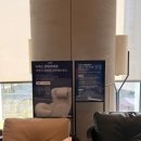 먹고놀개 | 쇼핑 완벽 조화 : 나인 트리 바이 파르나스 서울 판교 호텔 후기 · 파미어스몰 아이들과 놀 거리 추천 🌟